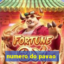 numero do pavao